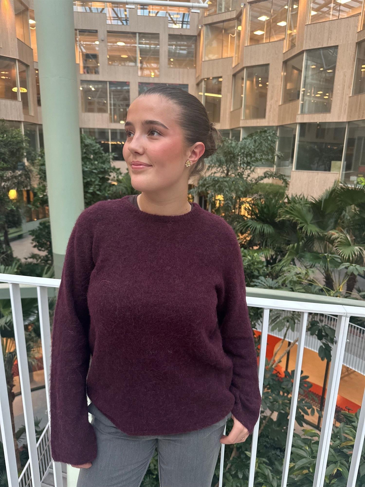 SLFLulu Brushed Knit o'neck-fig